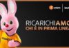 CESVI Duracell